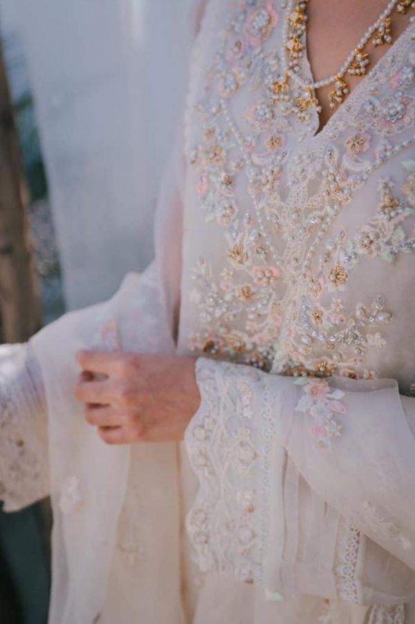 Agha Noor-organza - Image 2