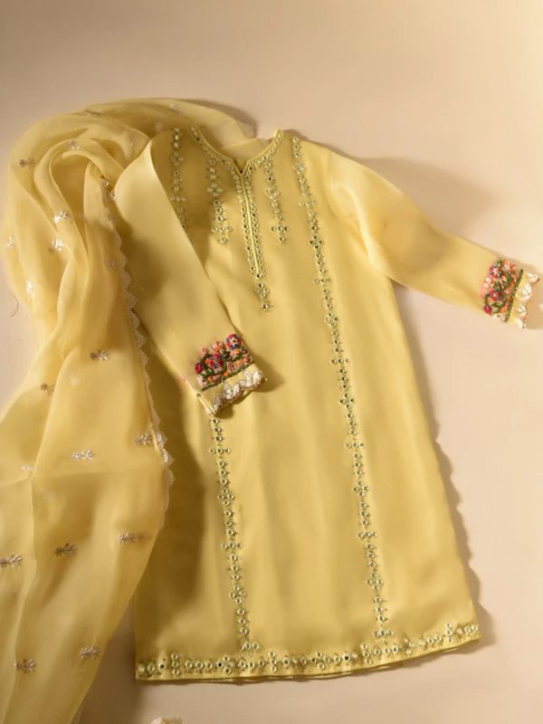 Agha Noor- ETHNIC SUNSET