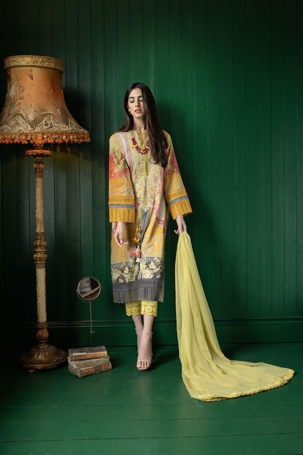 Sobia Nazir - 11B VITAL - Image 2