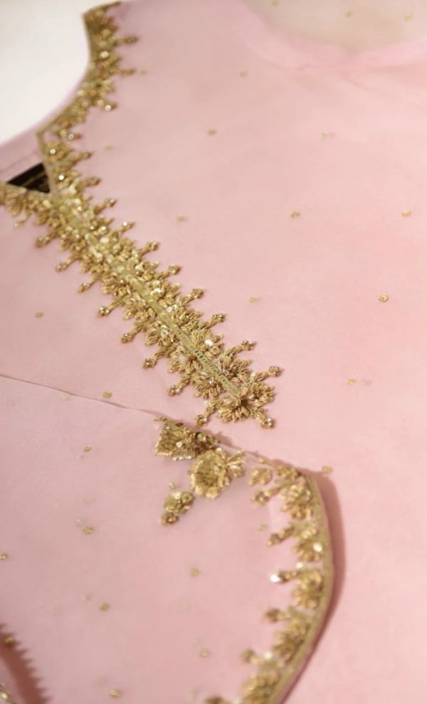Agha Noor Formal Wear- Kashmiri Chai - Image 2