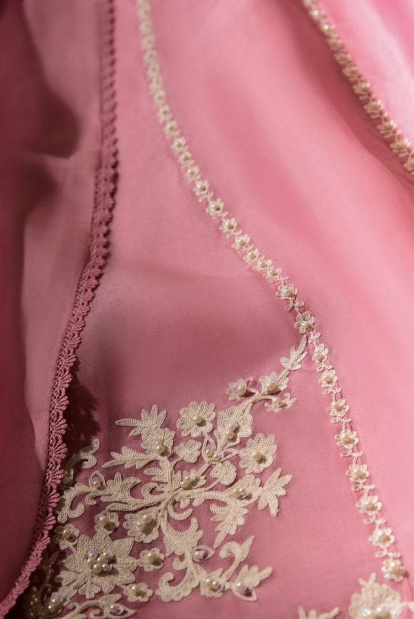 Agha Noor Formal Wear- Akira - Image 2